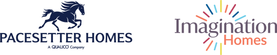 pacesetter imagination logo lock up